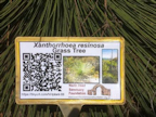 QR code sign