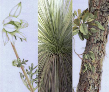 Triptych