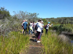 Bushwalk