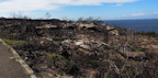 Fairfax Lookout